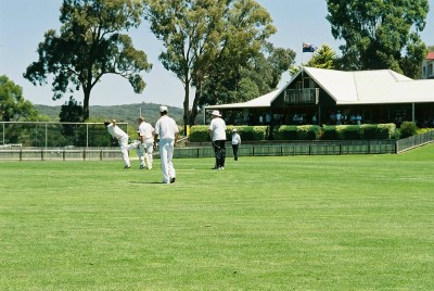 cricket.jpg