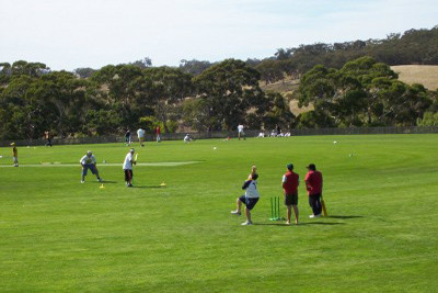 social-cricket.jpg