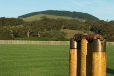 stumps-01.jpg